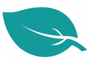 icon leaf teal