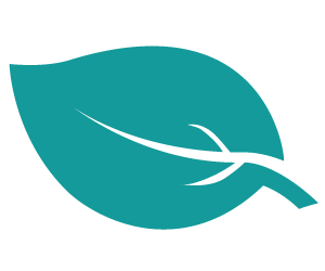 icon leaf teal